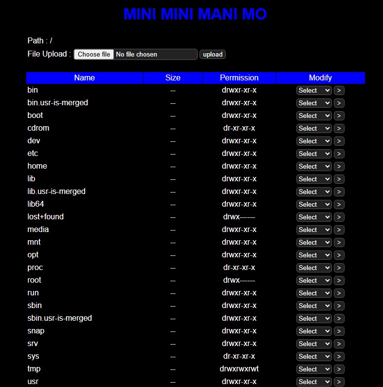 mini5